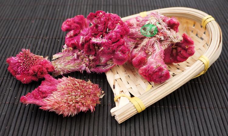 鸡冠花