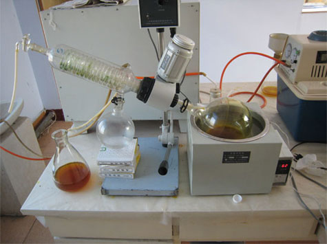 Drug inspection 1