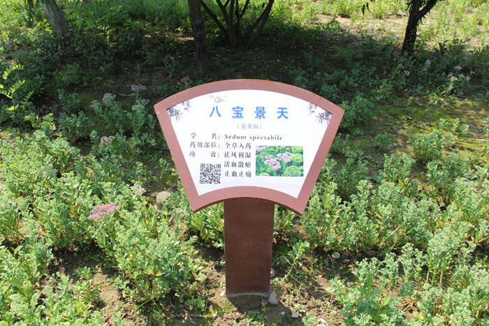 Planting base